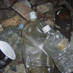 清掃活動：増水中