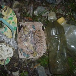 清掃活動：春なまず