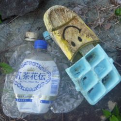 清掃活動：4月ラスト鯰バス