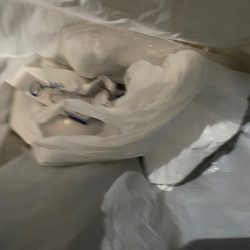 清掃活動：漁港の主