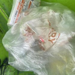 清掃活動：またいしもちー