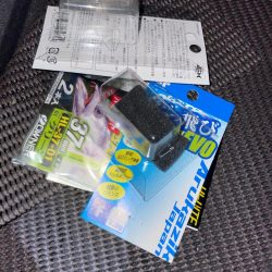 清掃活動：淡路島ライトゲーム