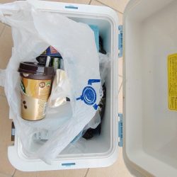 清掃活動：初のボートアジングでギガアジ！！…