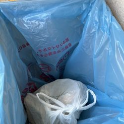 清掃活動：カレイはどこっすか？