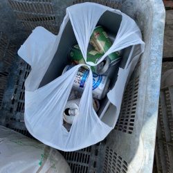 清掃活動：アジングで初めて釣れた！