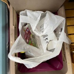 清掃活動：ヤリイカメタルのはずが…