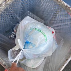 清掃活動：ブリ2枚釣れました