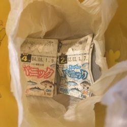 清掃活動：続　稚鮎釣行　