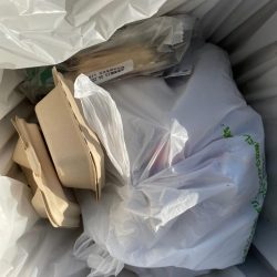 清掃活動：夜中のアナゴ釣り