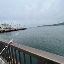 カレイはどこにいるの？