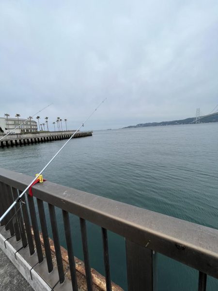 カレイはどこにいるの？