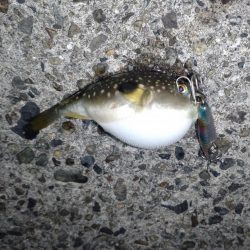 ダイソーって優秀なのでは!?