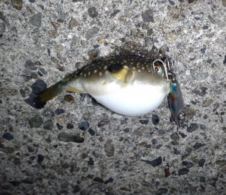 ダイソーって優秀なのでは!?