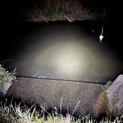 このタックルではじめて釣れたのは？