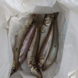 キス～ちょい投げ