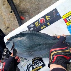 和歌山市江(吉丸渡船)でグレ釣り