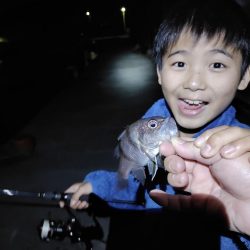 アジング@鹿児島垂水