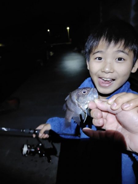 アジング@鹿児島垂水