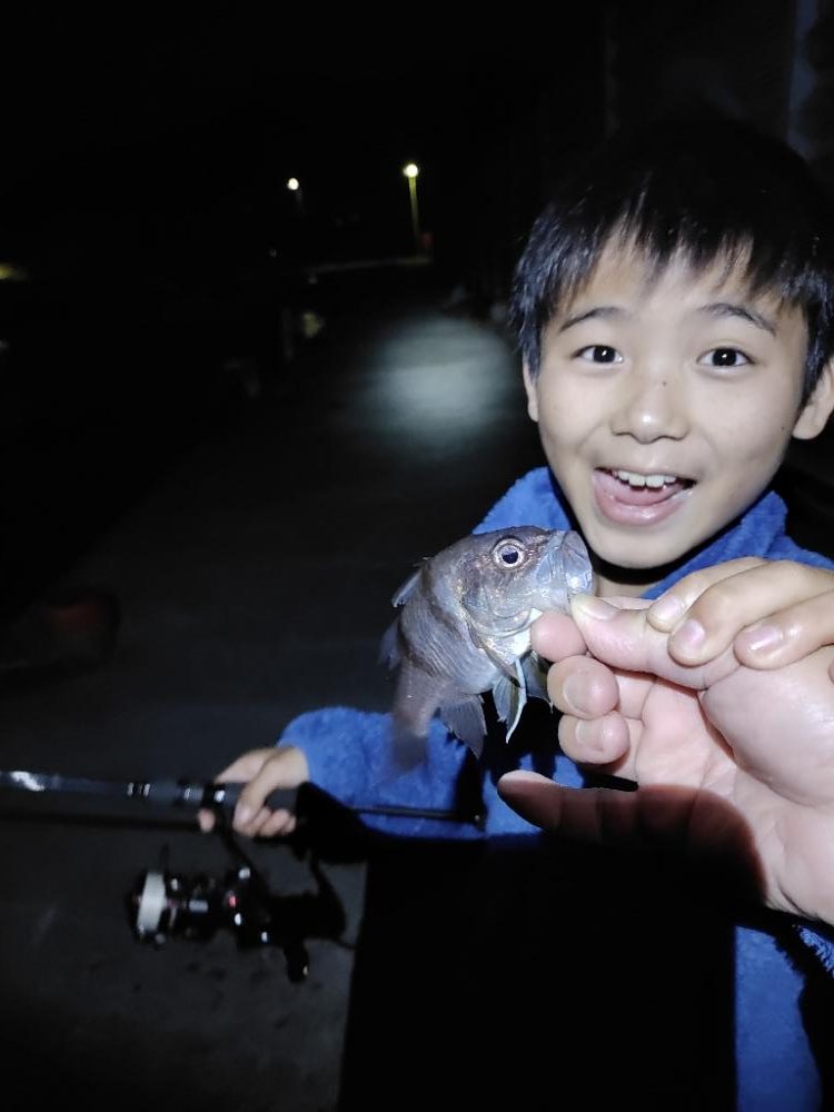 アジング@鹿児島垂水