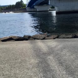 甲子園浜 シーバス