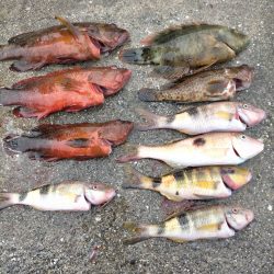 スプーンを投げまくる会