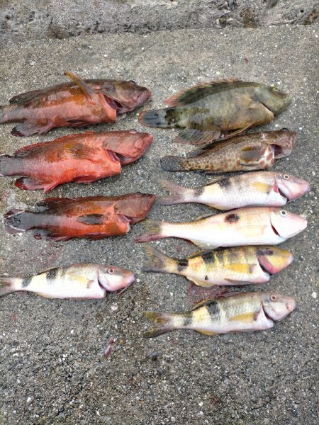 スプーンを投げまくる会