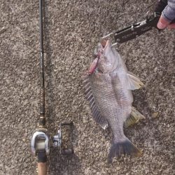 2023 停泊船ゲーム1回目