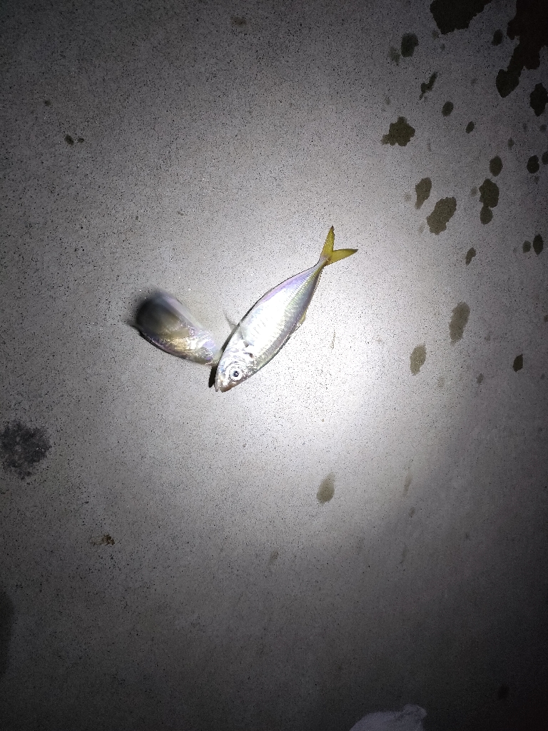 苦しい時間を乗り越えて