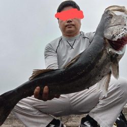 シーバス釣れました!