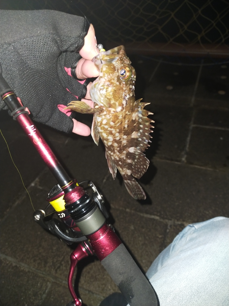 旅先でガシリング