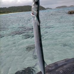 沖縄 スプーンで釣り