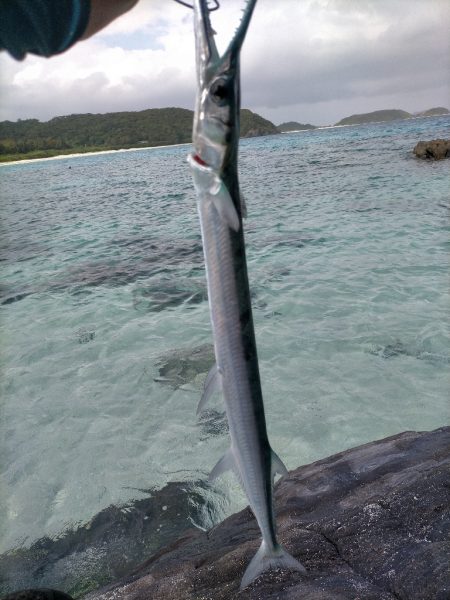 沖縄 スプーンで釣り