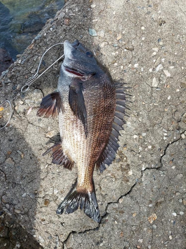 何とか最後に。