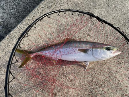 久しぶりの釣行