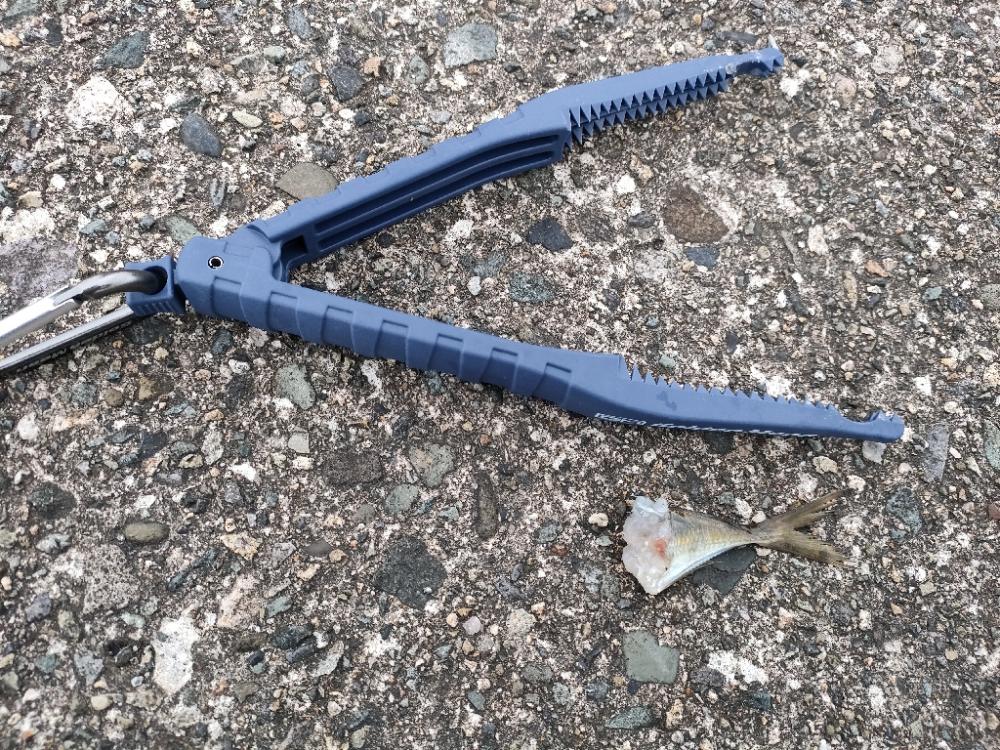 リベンジ果たせず