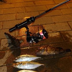 いつもとは違う