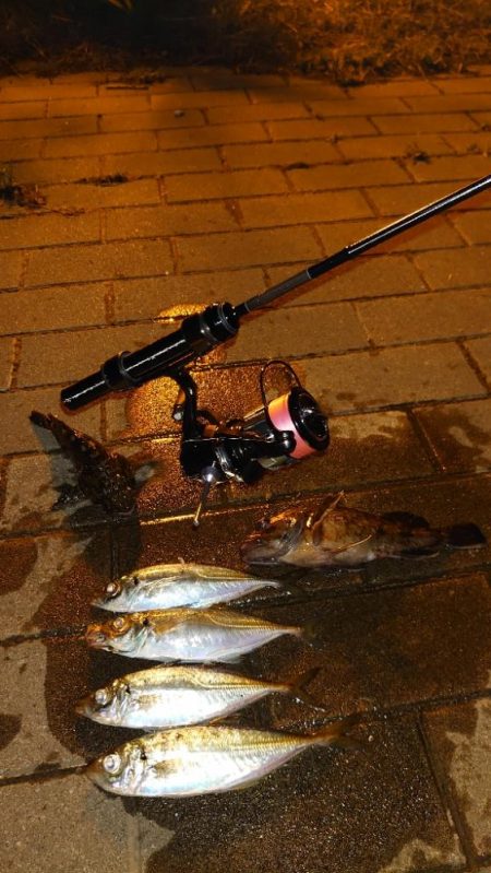 いつもとは違う