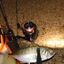 やっぱりアジングは難しいね！