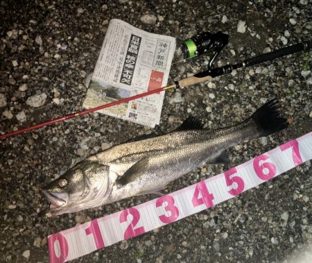 ががっときました。