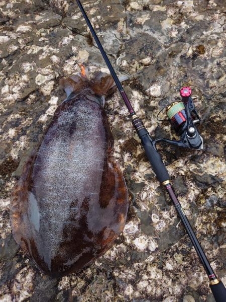 エギングガイドIN対馬