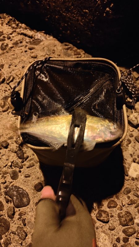 最初はあたりもなく。