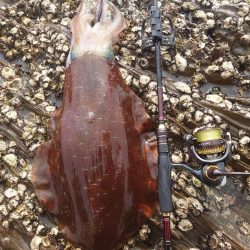 春爆エギングIN対馬