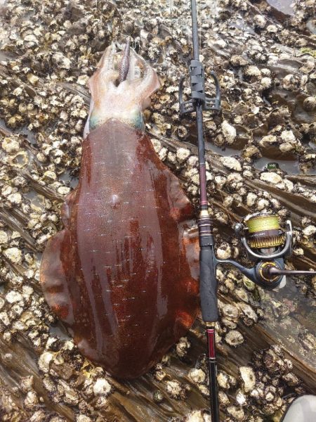 春爆エギングIN対馬