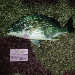 久々のエサ釣り