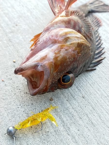 兵（つわもの）どもが夢の跡…