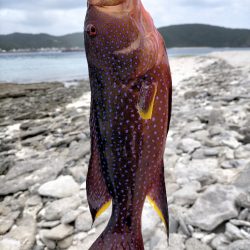 リーフでスプーンを投げまくる会