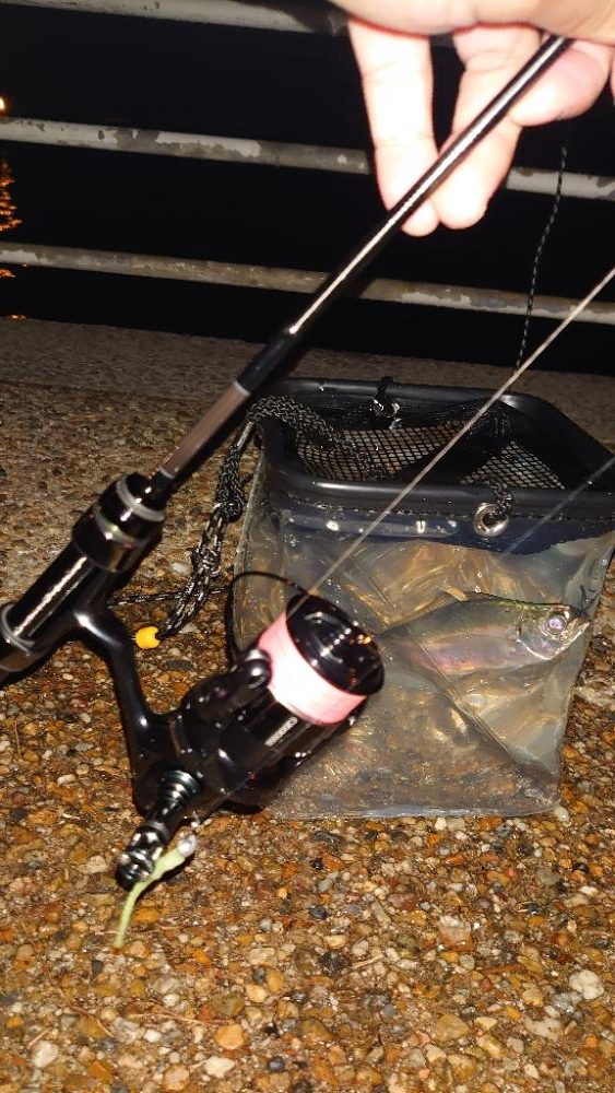 新いた水汲みバケツ