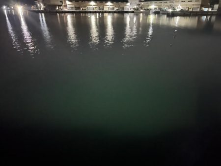 やっとここのロッドでアジ釣れました5