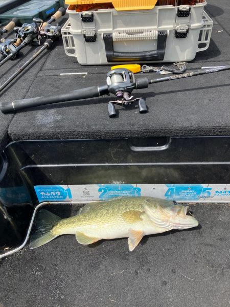 アフタースポーン45cm