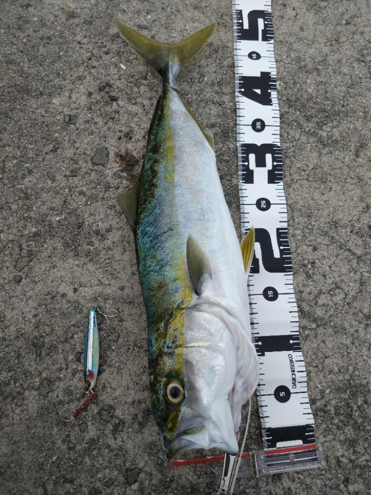 春シーズン終了間近？